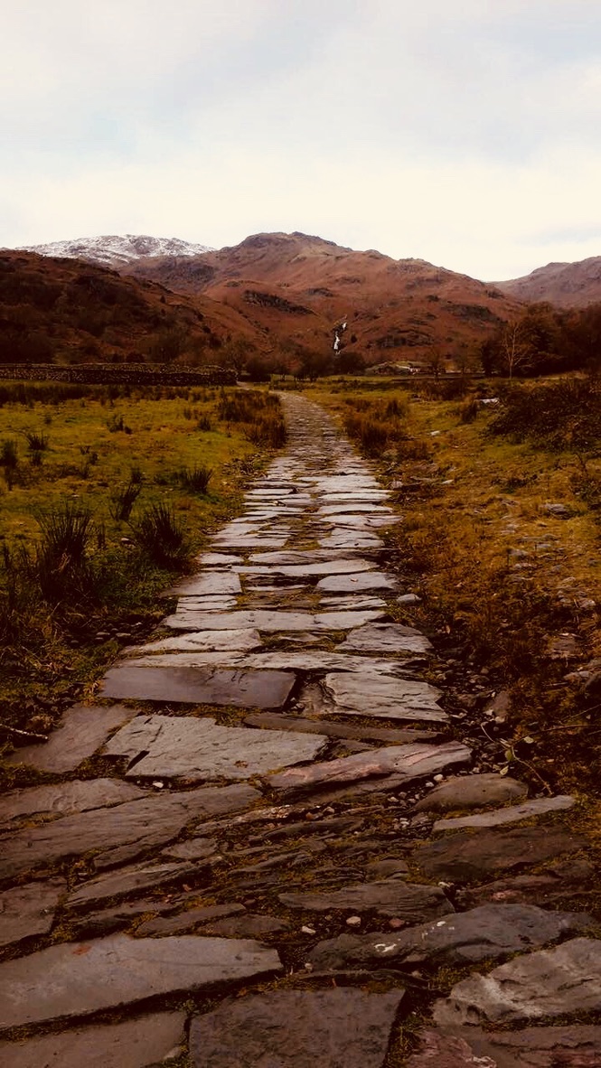 UNADJUSTEDNONRAW_thumb_7